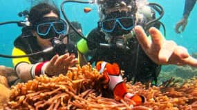 Phuket Diving Maithon Island Small Group or Snorkeling