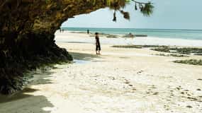 Zanzibar: Secret Beach, Kuza Cave e Jozani con trasferimento
