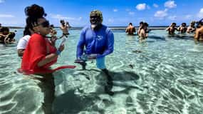 Antigua: esperienza nella città delle razze con transfer di andata e ritorno