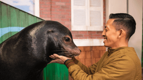 Georgia Aquarium: Sea Lion Encounter