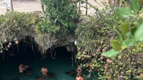 ZANZIBAR: Jozani Forest & Sea turtles sanctuary tour