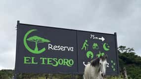 Monteverde: Horseback Riding