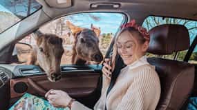 Otava: Safari privado de aventura na vida selvagem no Parc Omega