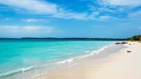 Dia inteiro na exclusiva praia tranquila de Baru com almoço