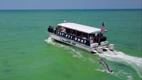 4 Hour Egmont Key Island Tour With Dolphins & Snorkeling