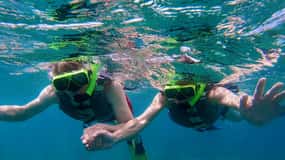 Vieques: VIP-snorkling - privat upplevelse