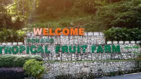 Penang: Tropical Fruit Farm Ticket