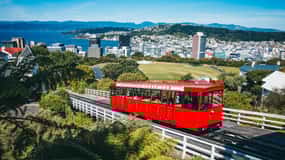 Wellington: Highlights Tour with a Local Guide