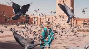 Marrakech Day Trip with Camel Ride Departing from Casablanca