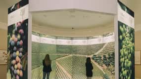 Porto: Ticket für das WOW – The Wine Experience Museum