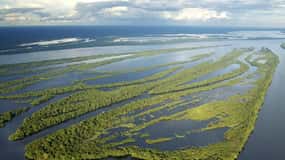 Manaus : Safari por el Archipiélago de Anavilhanas