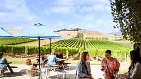 Melbourne: Excursão de meio dia às vinícolas de Yarra Valley Cellar Door