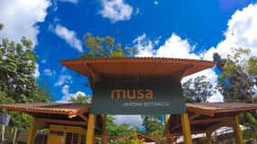 Manaus : Visita al MUSA (Museo de la Amazonia)