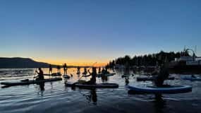 Brentwood Bay: Bioluminescence Tour