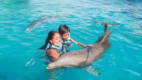Cancún: Dolphin Swimming Program on Isla Mujeres with Buffet