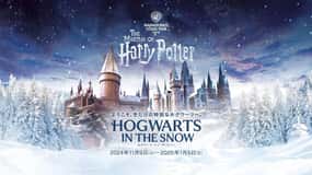 Tóquio: Visita guiada a Shibuya Sky e Harry Potter