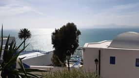 Médina de Tunis, Carthage et Sidi Bousaid : visite touristique