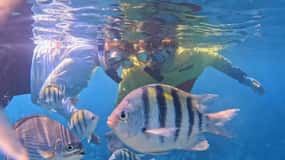 Roatan: Mayan Reef Snorkeling and West End Beach Tour