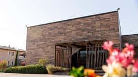 Bolgheri: Tour with wine tasting at Villanoviana