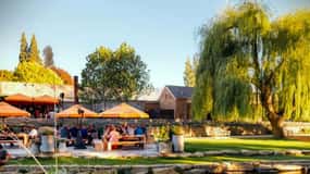 Queenstown: Wine Hopper Flexible Wine Tour