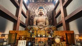 Fukuoka Essentials: History, Culture, & Charms