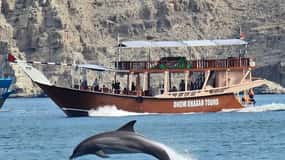 Khasab: Half-Day Dhow Cruise, Dolphin Watching, & Snorkeling