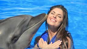 Cabo San Lucas: Dolphin Trainer For a Day Experience