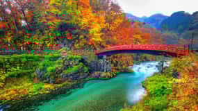 Depuis Tokyo : Visite guidée de luxe de Nikko avec guide anglophone