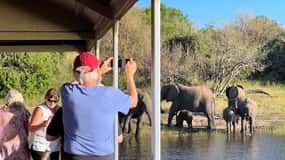 Chobe Day Safari and Boat Safari From Victoria Falls - 8hrs