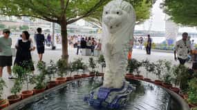 Singapore: Walking City Tour with Local Tourist Guide