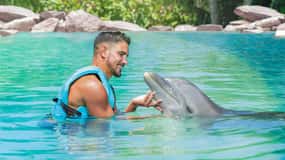 CANCUN: Experiência Dolphin Beyond com almoço e bebidas