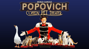 75-minuten Popovich Comedy Theater voor Gezelschapsdieren in Las Vegas