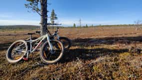 Guided Fatbike Tour in Ivalo