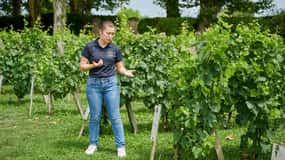 Margaux - Führung durch das Schloss und Verkostung von 4 Weinen