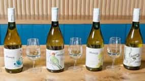 Sussex Vineyard Tour by Minibus - pick up and drop off