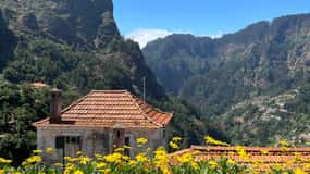 Funchal: Nonnedalen - tur med tuk tuk