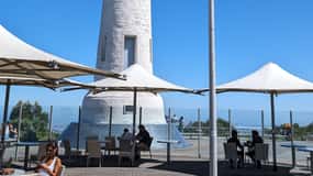 Adelaide: Half-Day City Highlights, Mt. Lofty, and Hahndorf