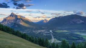 From Banff: Banff Wildlife & Scenic Highlights Premium Tour