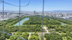 The BEST Sakai Tours and Excursions in 2026 - FREE Cancellation