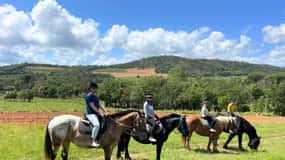Grimaud: Passeggiata a cavallo e degustazione di vini nella foresta di Maures