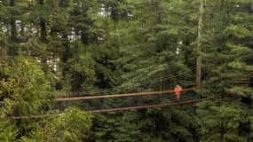 Auckland: Rotorua Day Tour with Redwoods Treewalk & Spa