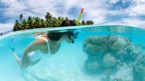 Catalina Island: Day Trip - Best Snorkeling!