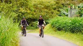 Boquete: Alquiler de bicicletas eléctricas