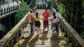 A viagem de Ubud do passado ao presente