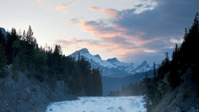 Explore 9 Spots: Private Customizable Banff Icefield Tour