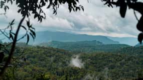 Sinharaja Rural Village & Cultural Experiences