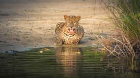 Sri Lanka : Circuit privé de 10 jours avec hôtels 4*, demi-pension