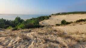 Da Bordeaux: Tour privato della Dune du Pilat, della Baia di Arcachon e del Villaggio delle Ostriche