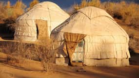 Yurt Camp Tour with Night from Bukhara