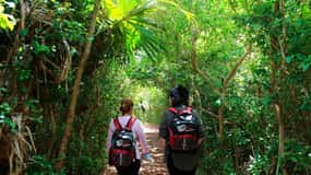 Bermuda: Bermuda Hidden Gems Summer Excursion